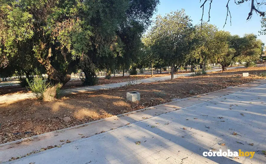 Obras de remodelaci&oacute;n del circuito de El Tablero