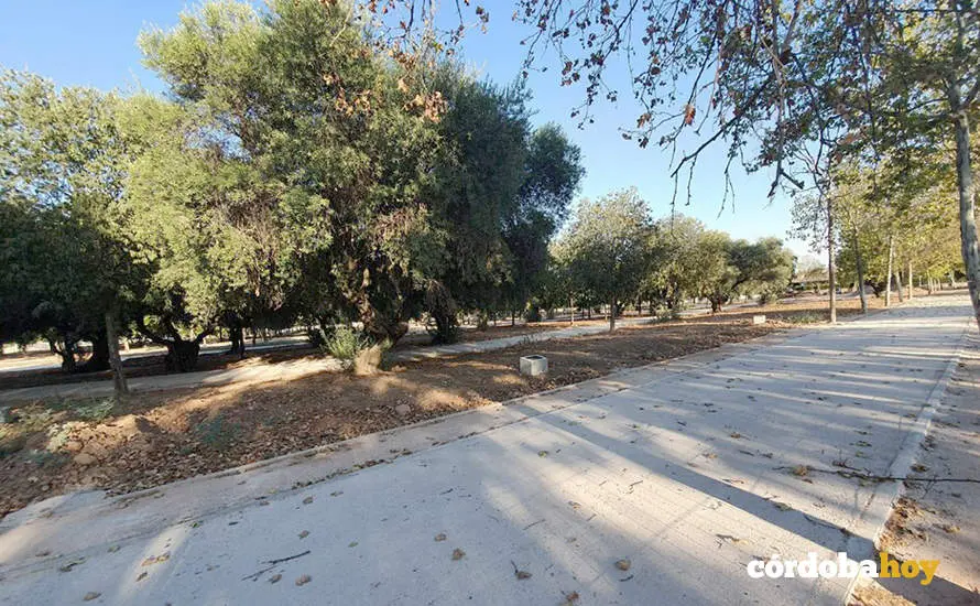 Obras de remodelaci&oacute;n del circuito de El Tablero