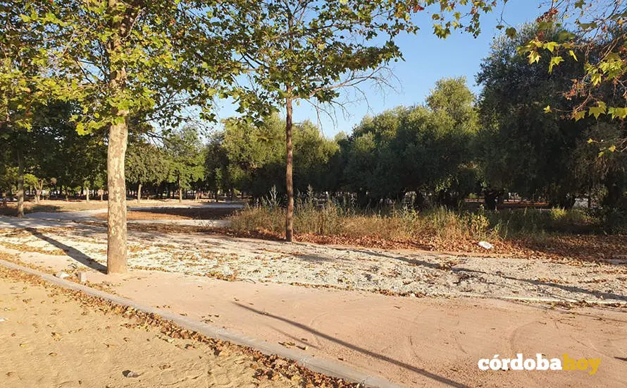 Obras de remodelaci&oacute;n del circuito de El Tablero