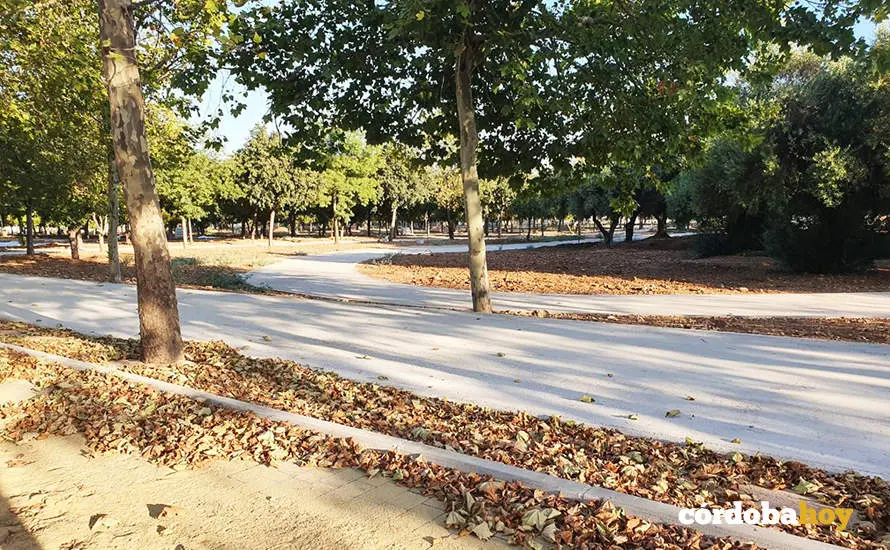 Obras de remodelaci&oacute;n del circuito de El Tablero