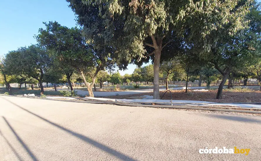 Obras de remodelaci&oacute;n del circuito de El Tablero