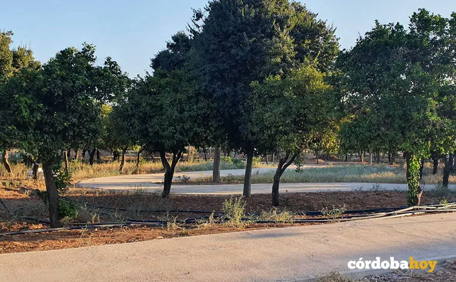 Obras de remodelaci&oacute;n del circuito de El Tablero