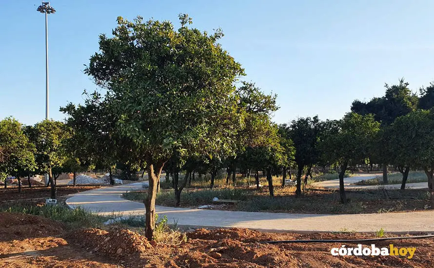 Obras de remodelaci&oacute;n del circuito de El Tablero