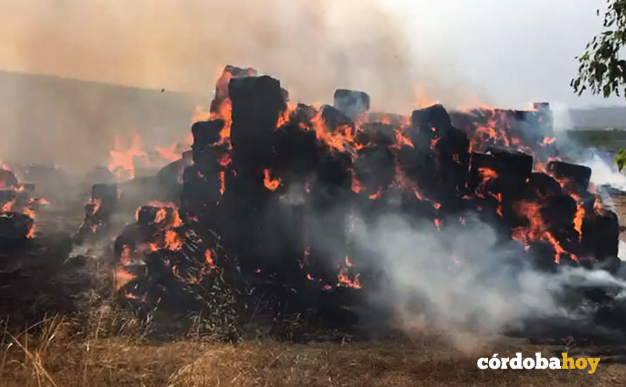 Captura de pantalla del video del incendio realizado por el SEIS