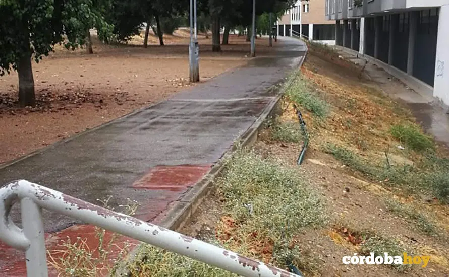 Acera de San Juli&aacute;n, en el Distrito Sur