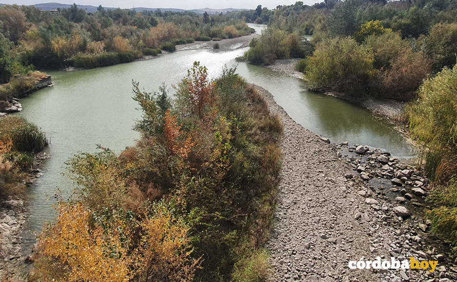 El río Guadalquivir a su paso por la ciudad de Córdoba
