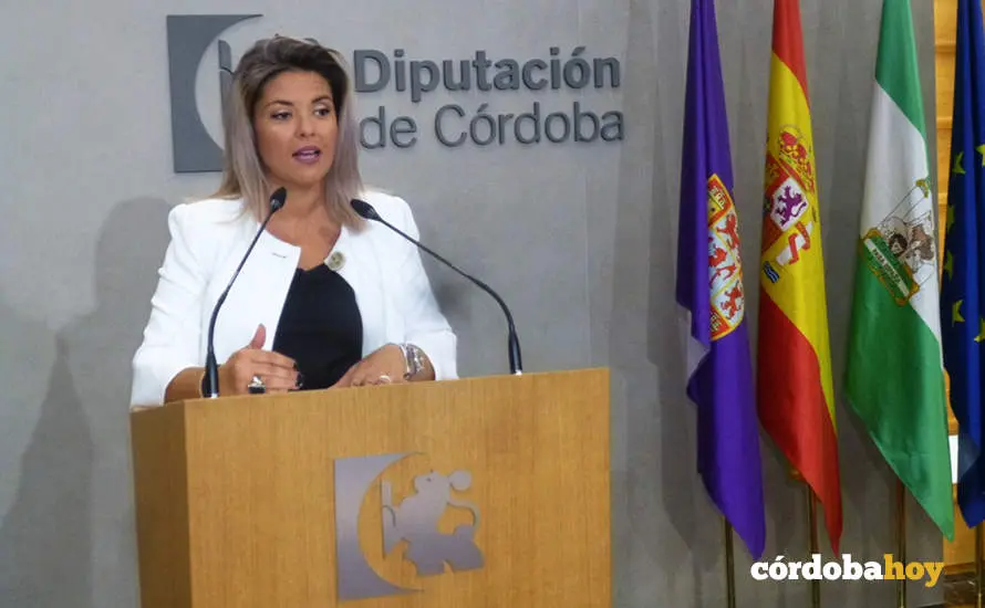 Erika Nevado, portavoz de Cs en la Diputaci&oacute;n