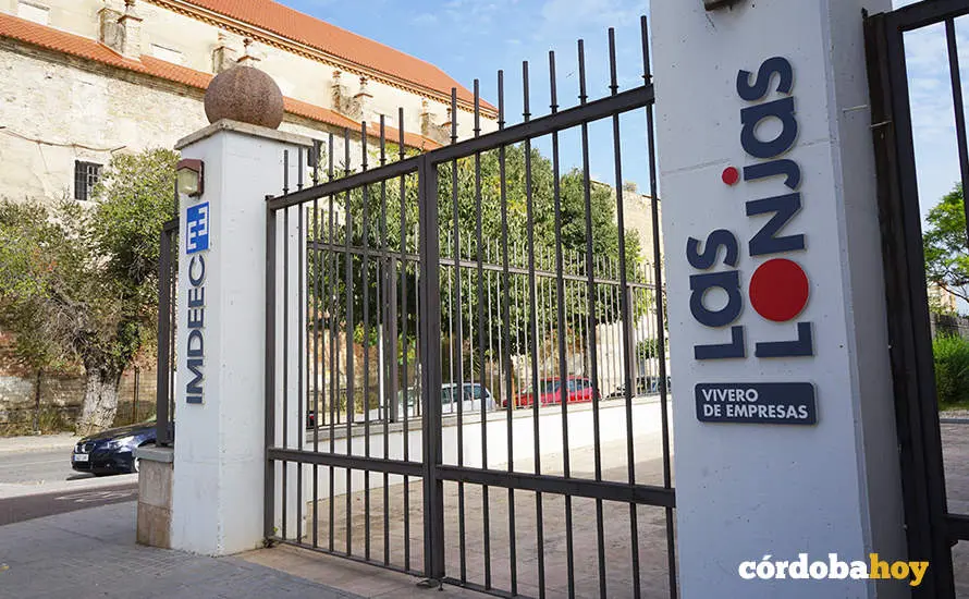 Vivero de Empresas Las Lonjas en el Imdeec