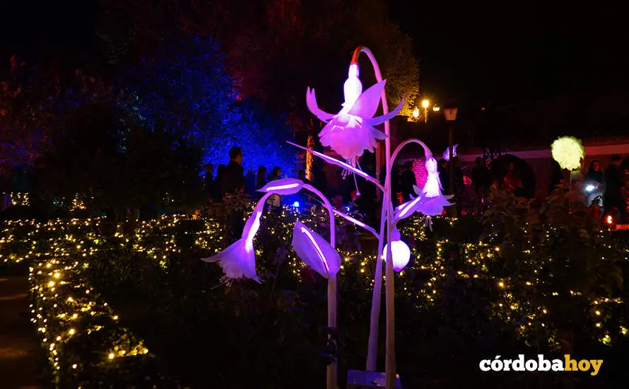 Espect&aacute;culo de luz, imagen y sonido del Alc&aacute;zar de los Reyes Cristianos de C&oacute;rdoba, Naturaleza Encendida 'Ra&iacute;ces'