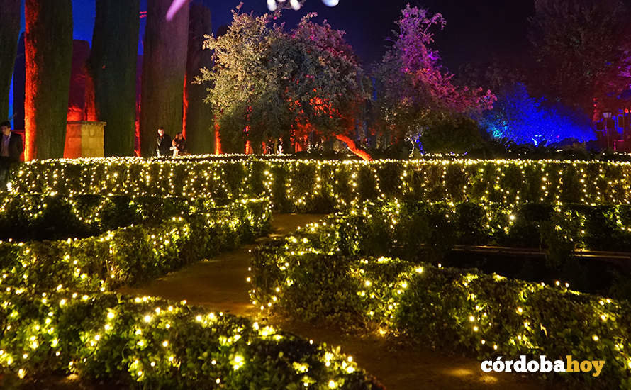 Espectáculo de luz, imagen y sonido del Alcázar de los Reyes Cristianos de Córdoba, Naturaleza Encendida 'Raíces'