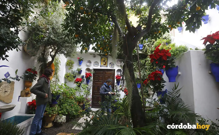 PATIOS 10 ANIVERSARIO 1 copia