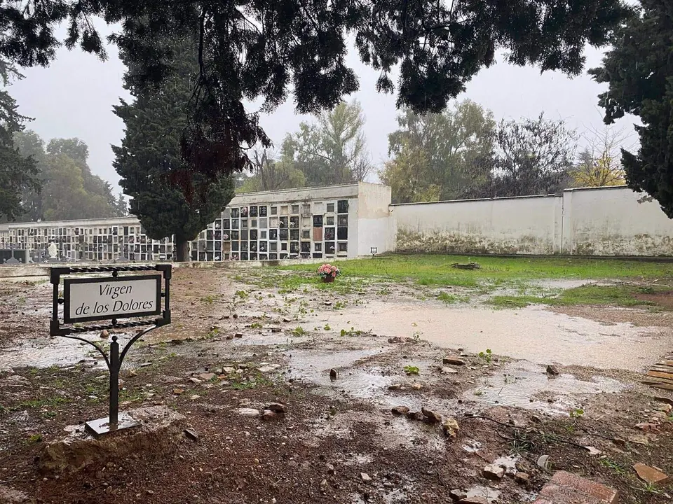 Cementerio de la Salud de C&oacute;rdoba, donde se encuentran buena parte de las fosas con restos de represaliados por los franquistas