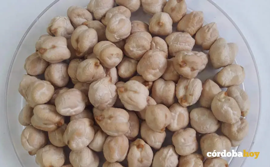 garbanzo
