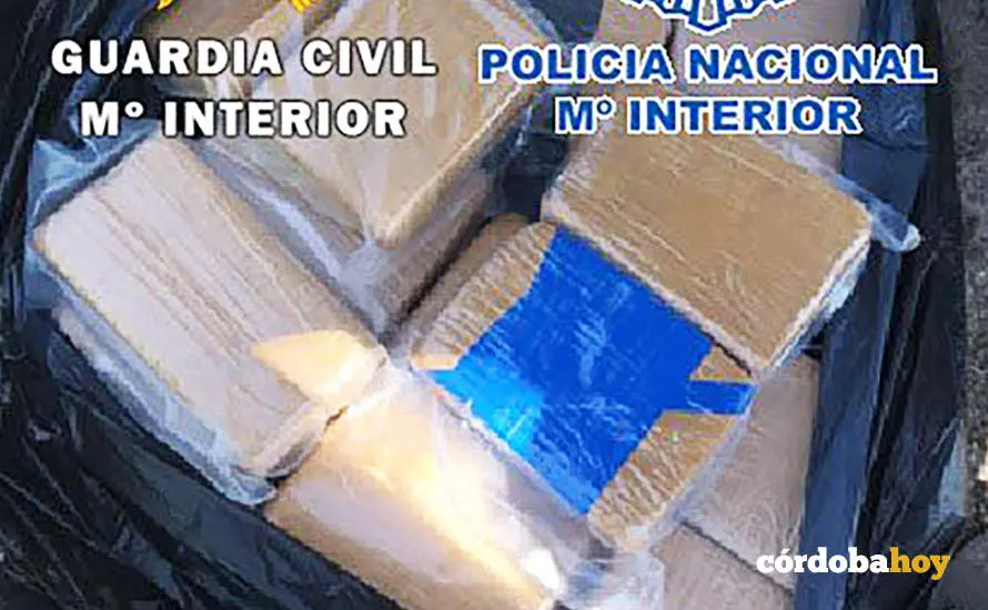 Parte de los 14 kilos de hero&iacute;na incautada
