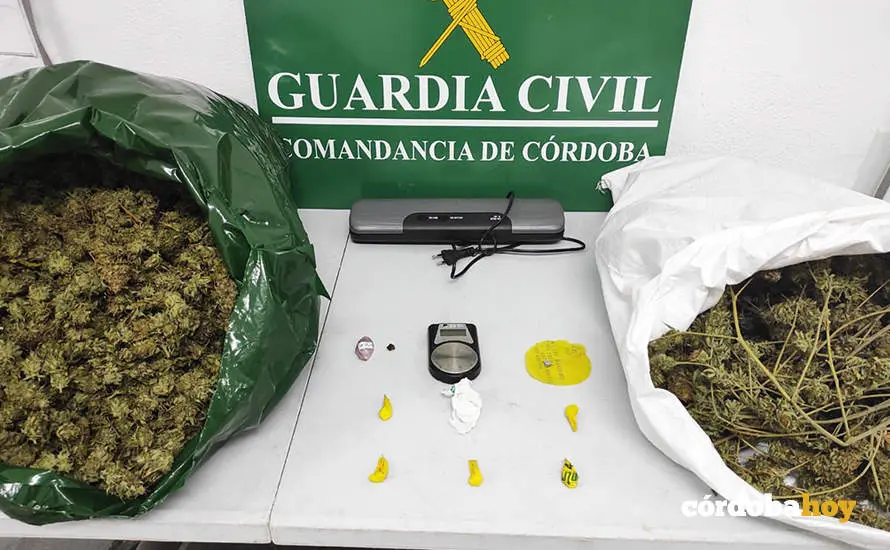 Material incautado por la Guardia Civil en Montilla