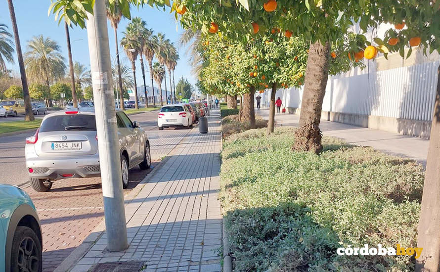 Acerado de Córdoba donde es complicado ubicar un carril-bici