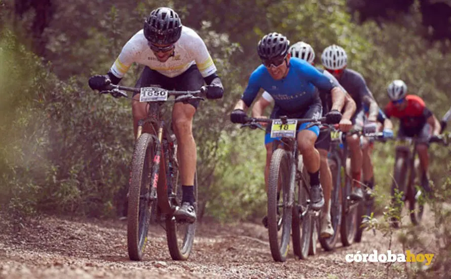 MTB Guzm&aacute;n el Bueno