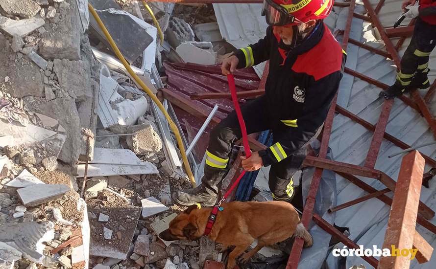 El bombero cordobés Antonio Caballero y su perro Bolo en plena faena en Turquía FOTO DIPUTACIÓN