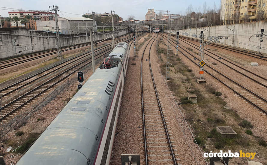 Trenes en la entrada a la estación del AVE de Córdoba