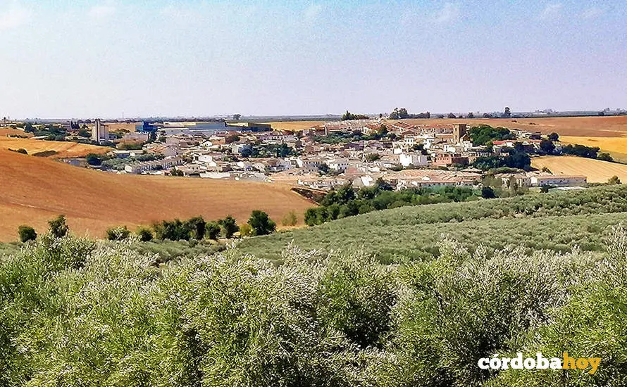 Panor&aacute;mica de Guadalc&aacute;zar