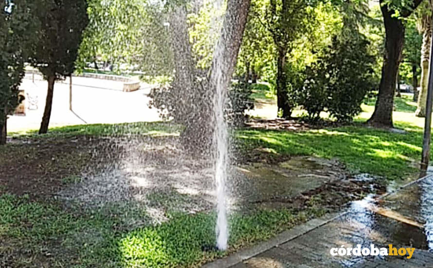 Fuga de agua en los jardines de Las Moreras que ha durado varios días