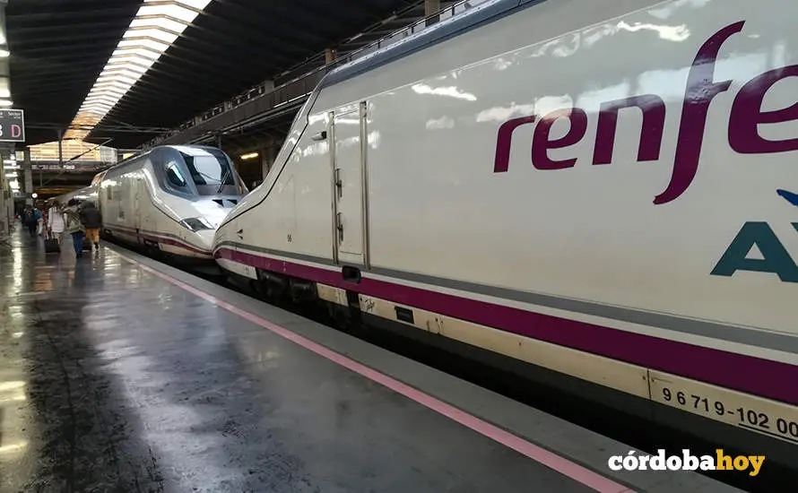 Trenes AVE en la estaci&oacute;n central de C&oacute;rdoba