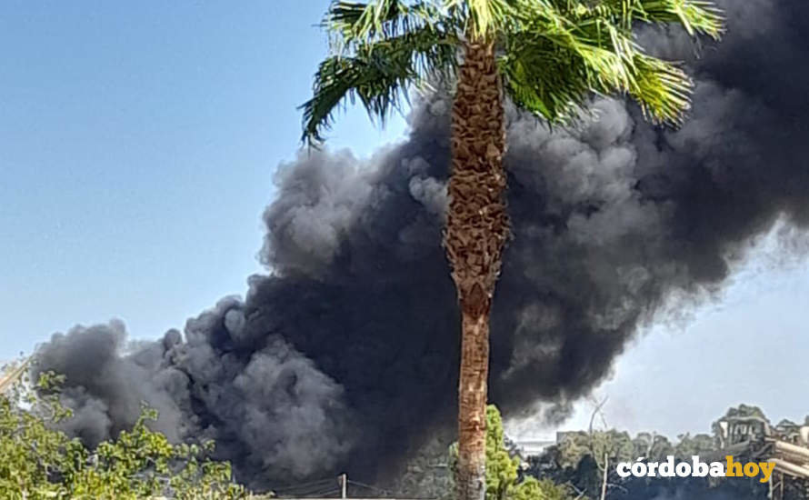 Columna de humo por el incendio en la antigua fábrica de Calmante Vitaminado en Chinales