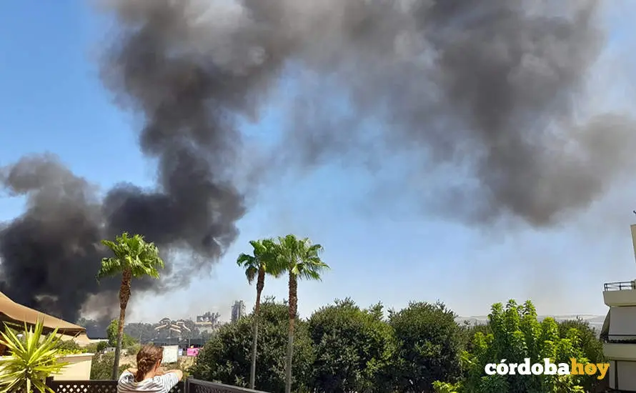 Columna de humo del incendio en Chinales