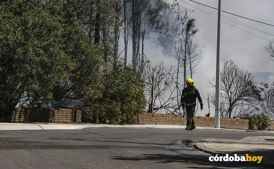 Incendio en el pol&iacute;gono de Chinales