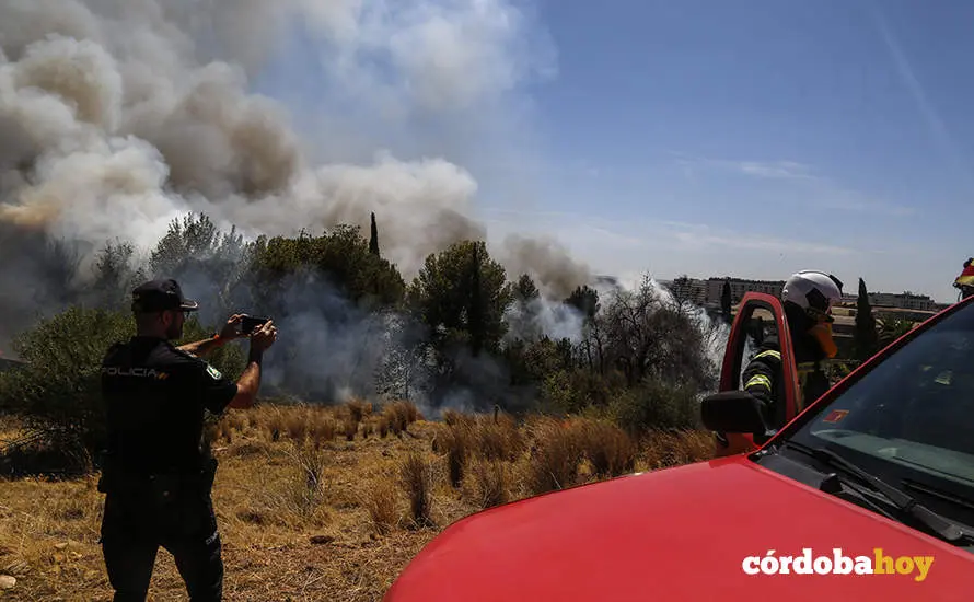 Incendio en el pol&iacute;gono de Chinales