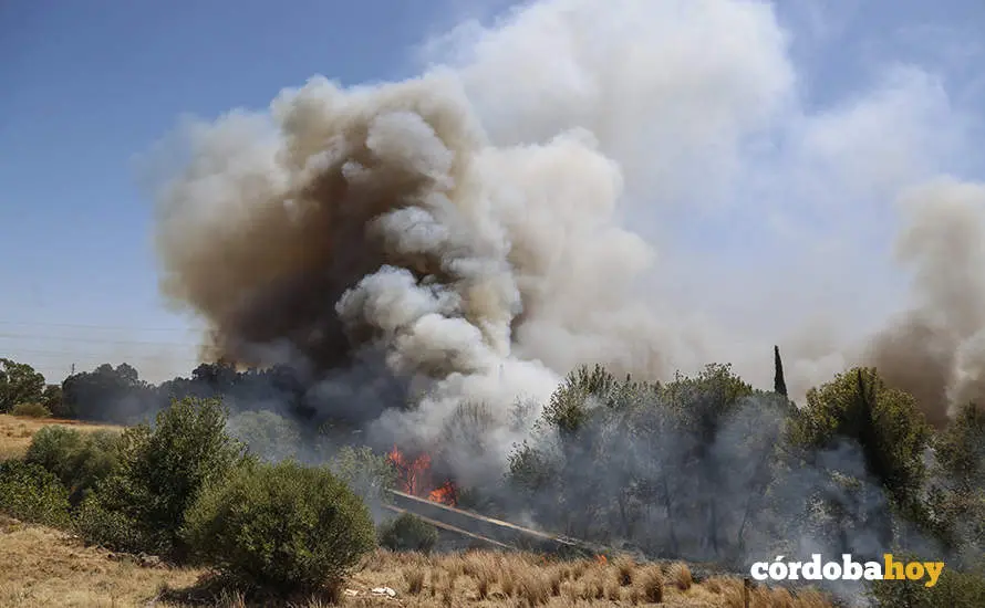 Incendio en el pol&iacute;gono de Chinales