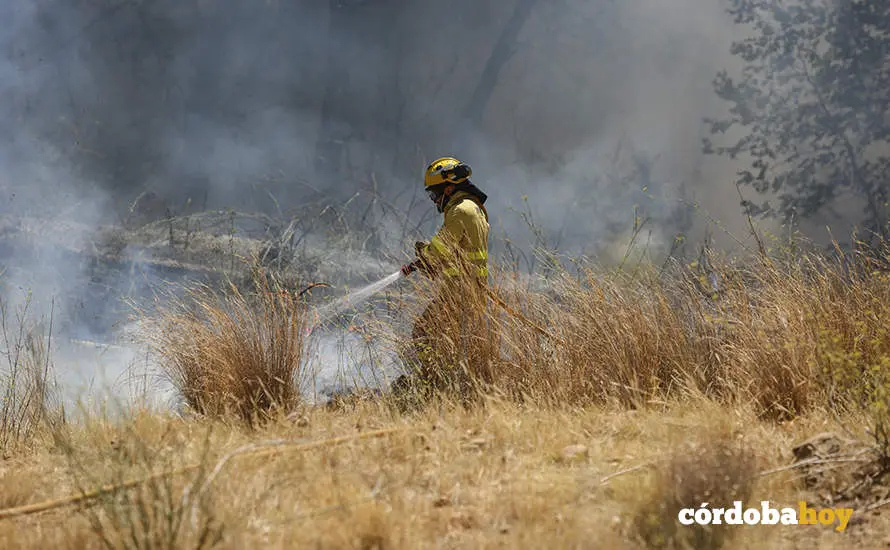 Incendio en el pol&iacute;gono de Chinales