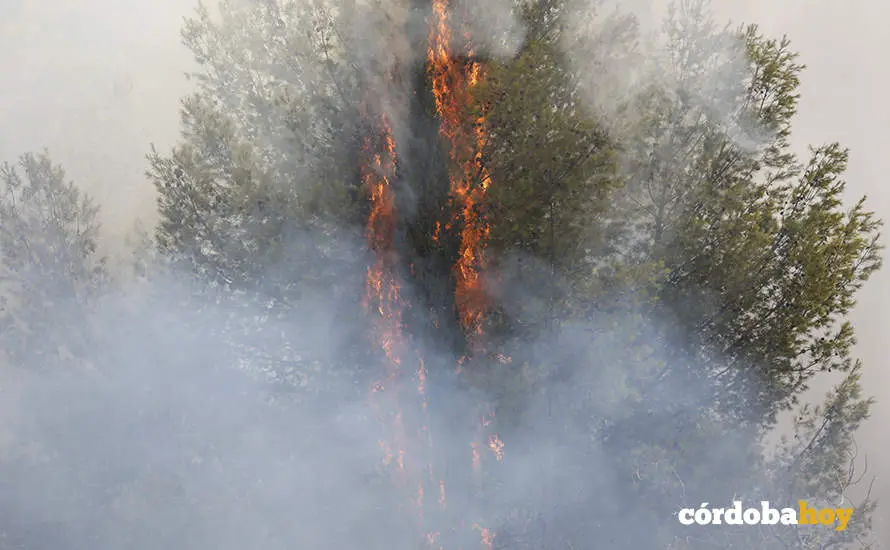 Incendio en el pol&iacute;gono de Chinales