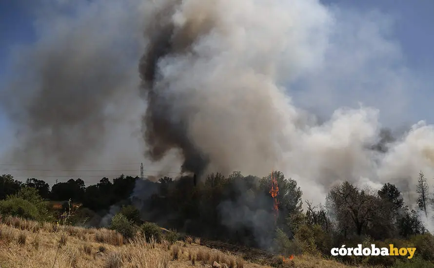Incendio en el pol&iacute;gono de Chinales