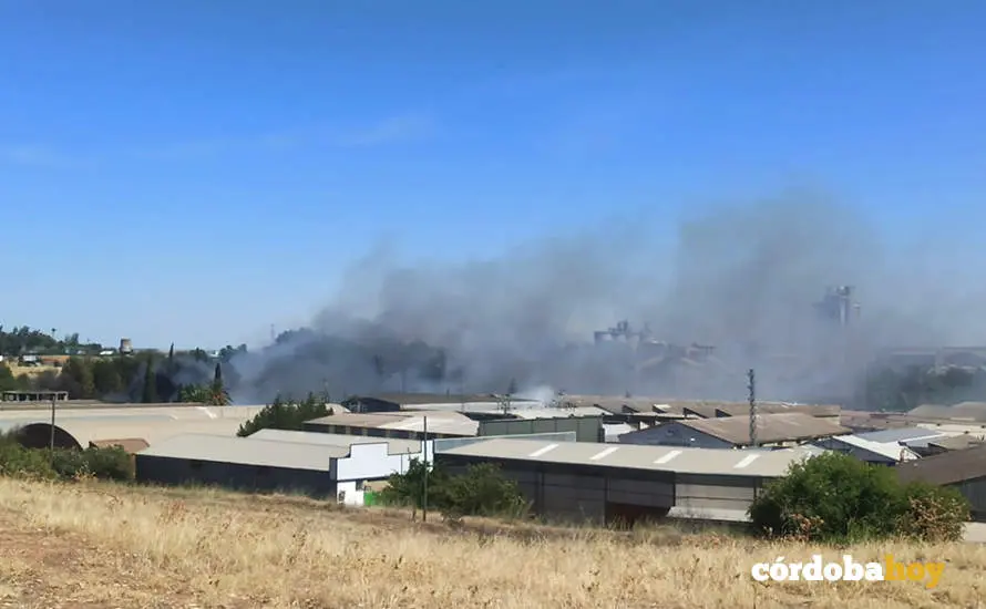 Incendio en el pol&iacute;gono de Chinales