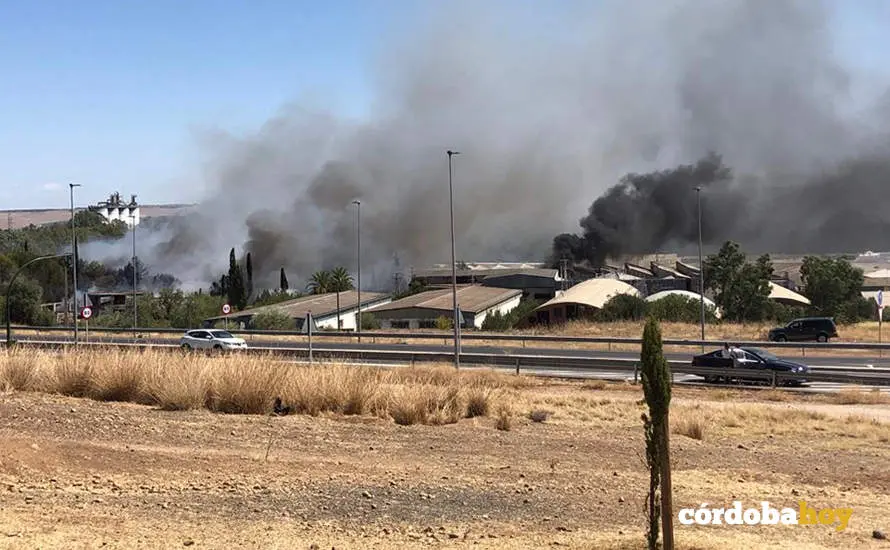 Incendio en el pol&iacute;gono de Chinales