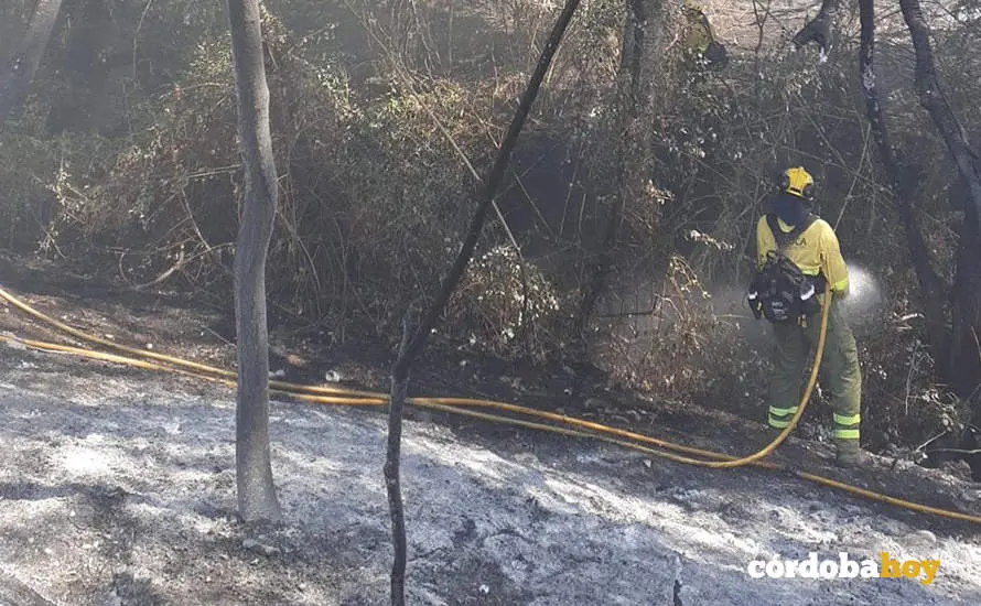 Personal del Infoca trabajando en el incendio de Hornachuelos FOTO INFOCA
