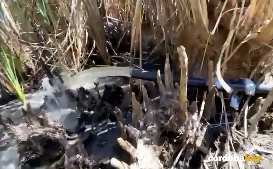 Captura de pantalla del video donde se puede ver el chorro de agua sucia saliendo de una canaliación de goma oscura