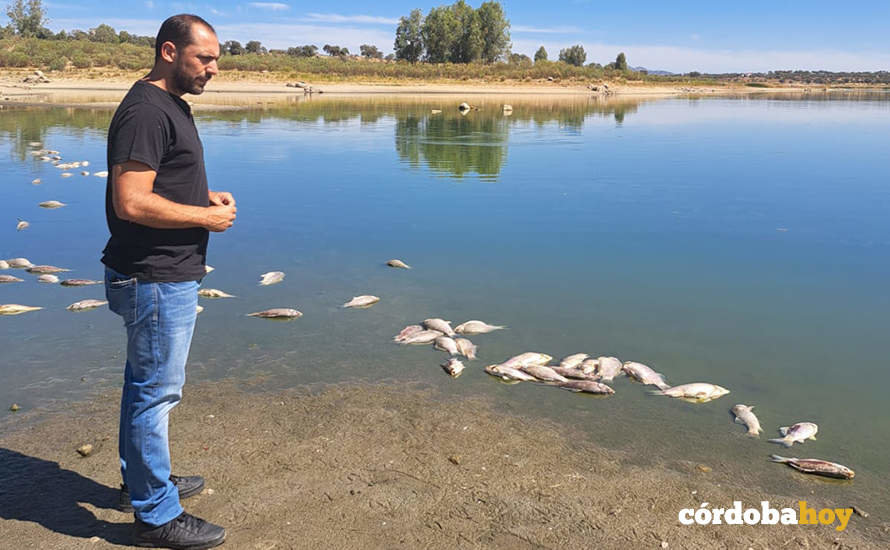 Sebastián Pérez, a orillas del pantano de La Colada, contempla la mortandad de peces