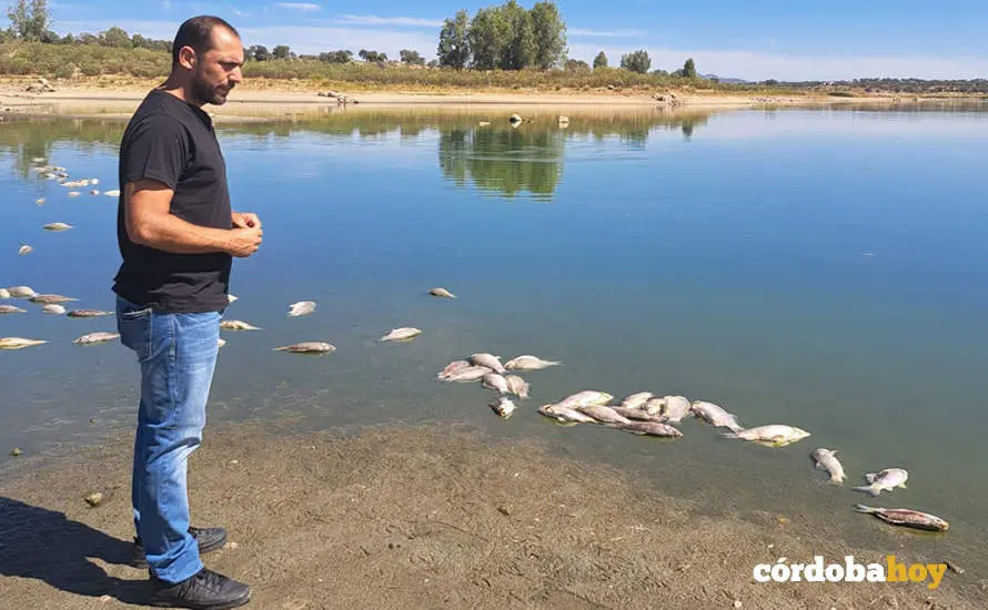 Sebasti&aacute;n P&eacute;rez, a orillas del pantano de La Colada, contempla la mortandad de peces, en una imagen de archivo