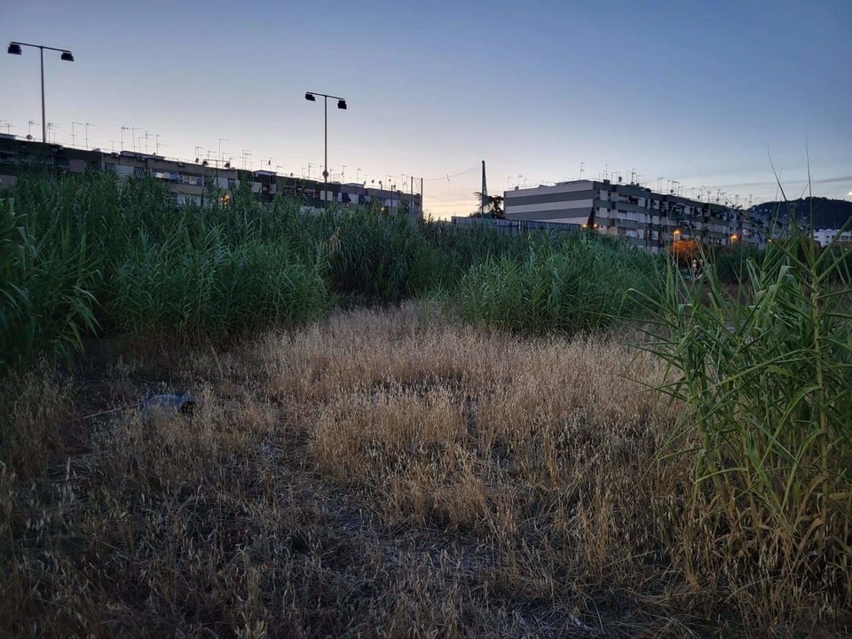Vegetación, basura y maleza seca en un solar aledaño al campo de fútbol del Parque Figueroa