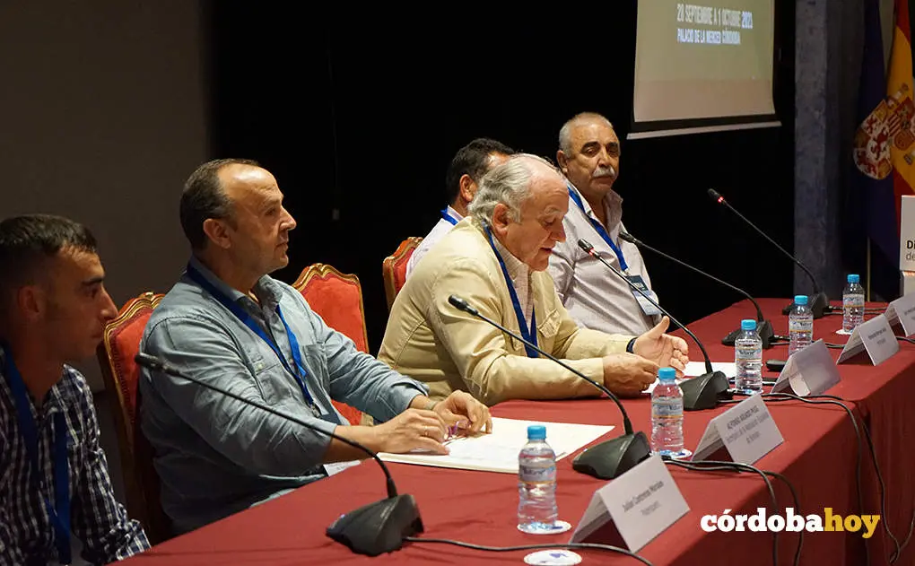 Intercaza 2023 en el Palacio de La Merced