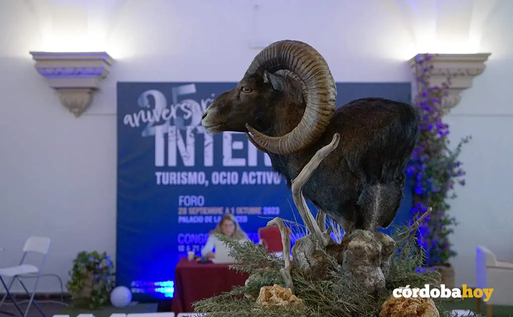 Intercaza 2023 en el Palacio de La Merced