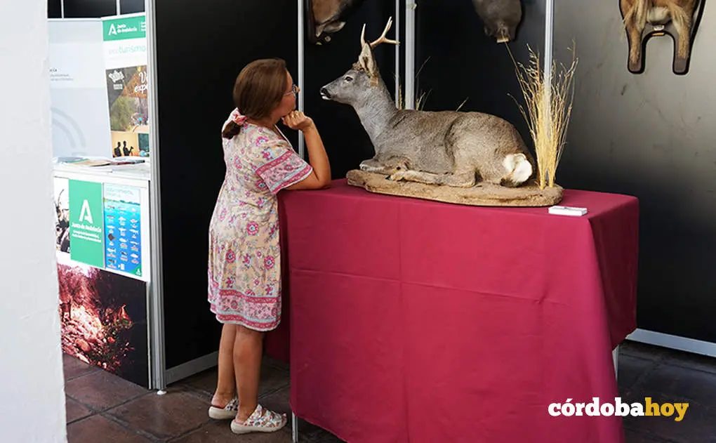 Intercaza 2023 en el Palacio de La Merced