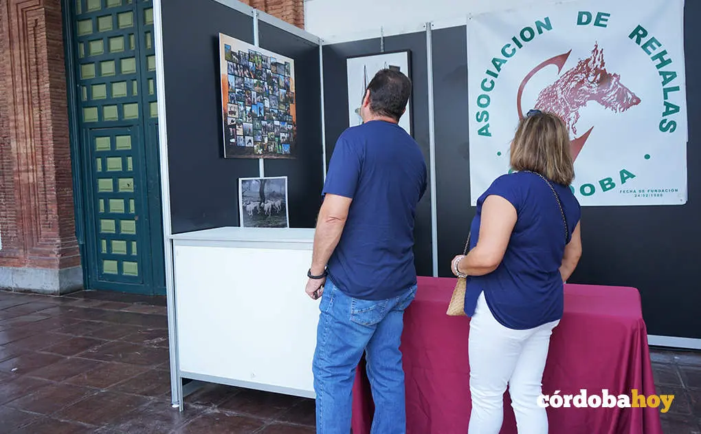 Intercaza 2023 en el Palacio de La Merced