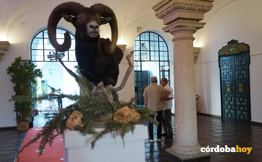 Intercaza 2023 en el Palacio de La Merced