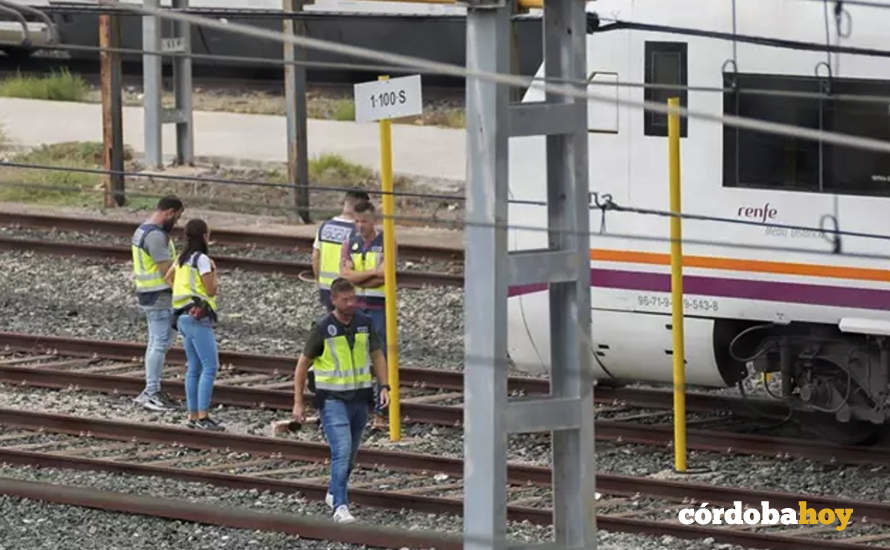 La policía junto a los dos trenes donde fue localizado el joven cordobés Álvaro Prieto FOTO EUROPA PRESS