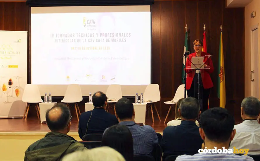 Inauguraci&oacute;n de las IV Jornadas T&eacute;cnicas y Profesionales Vitivin&iacute;colas que se est&aacute;n celebrando como antesala de la XXV Cata del Vino