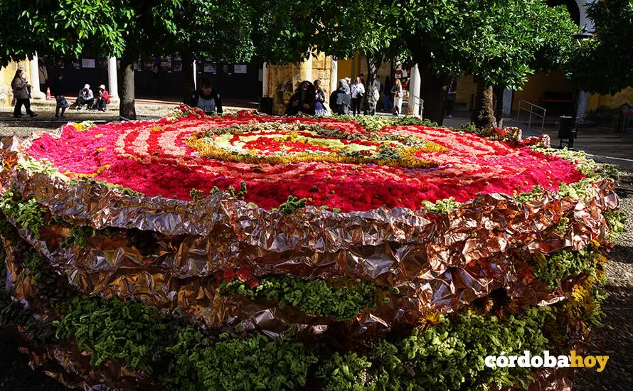 FLORA MEZQUITA 3
