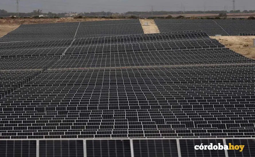 Planta solar fotovoltaica FOTO PLATAFORMA STOP MEGAPLANTAS